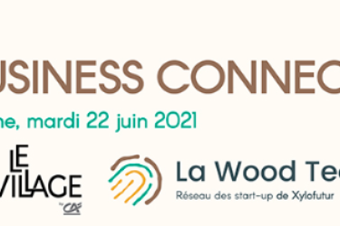 Business Connect Forêt Bois