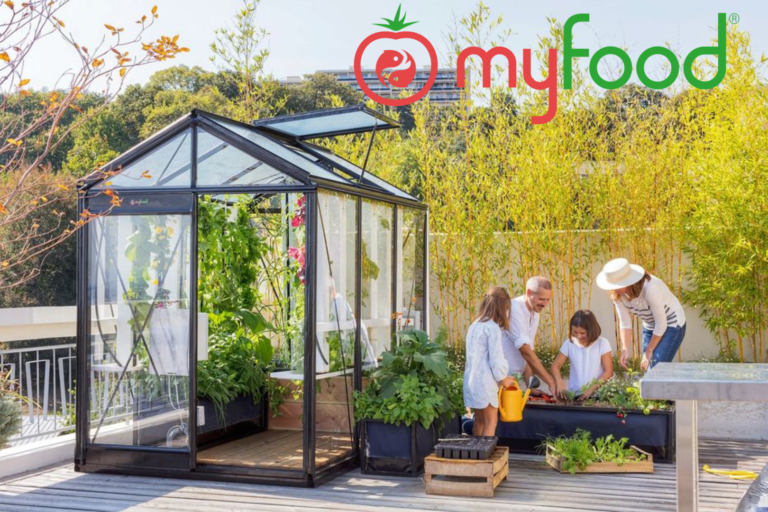 Visuels Blog Newsletter