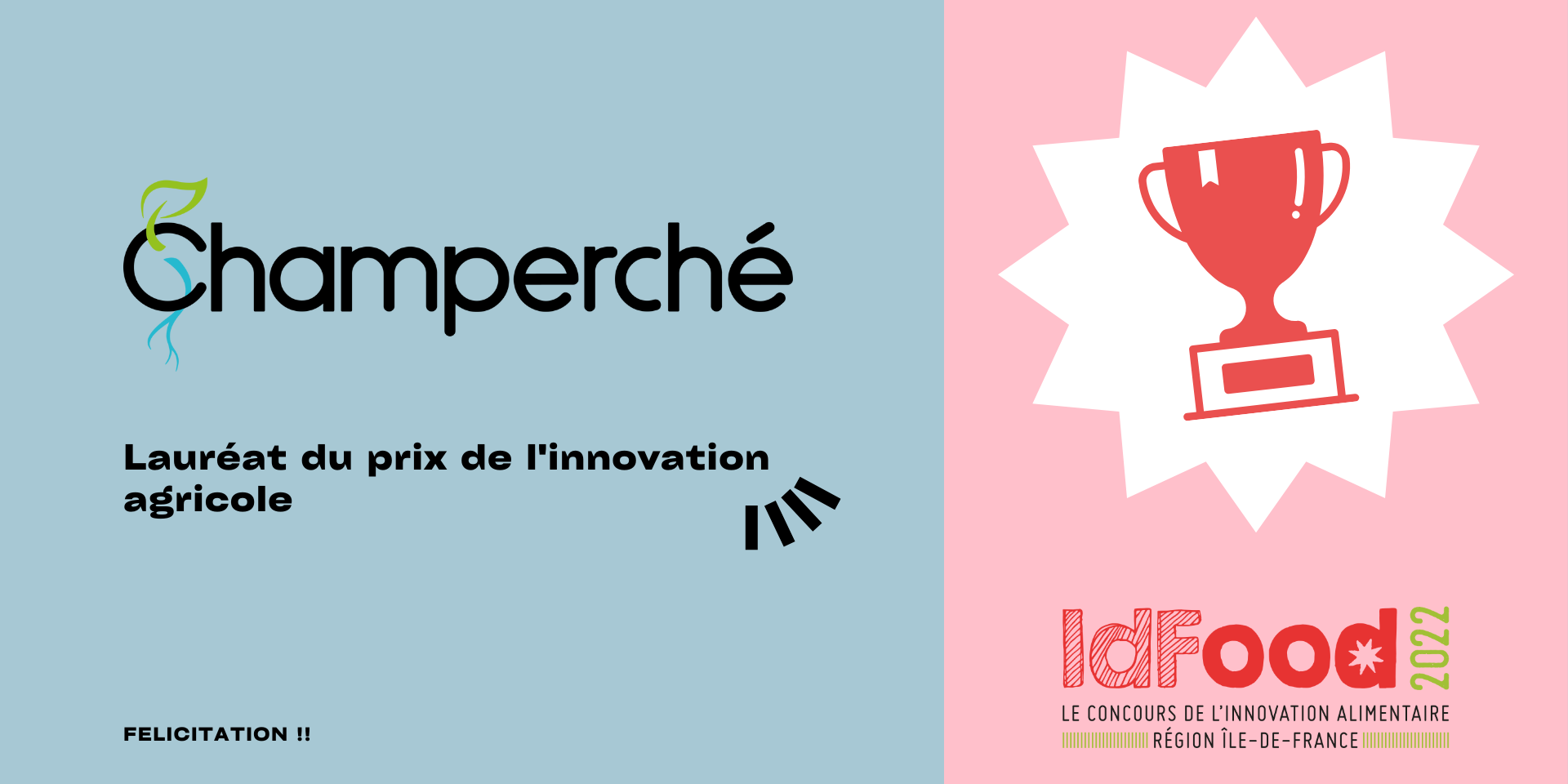 Visuels Blog Newsletter (1)