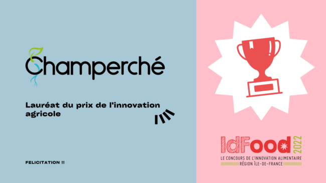 Visuels Blog Newsletter (1)