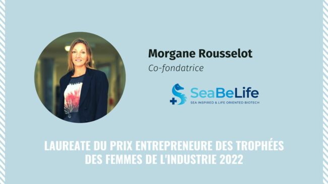 Visuels Blog Newsletter