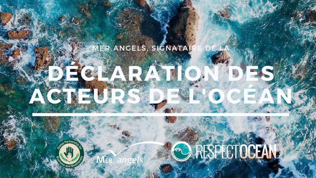 Mer Angels, signataire de la Déclaration des acteurs de l'Océan ...