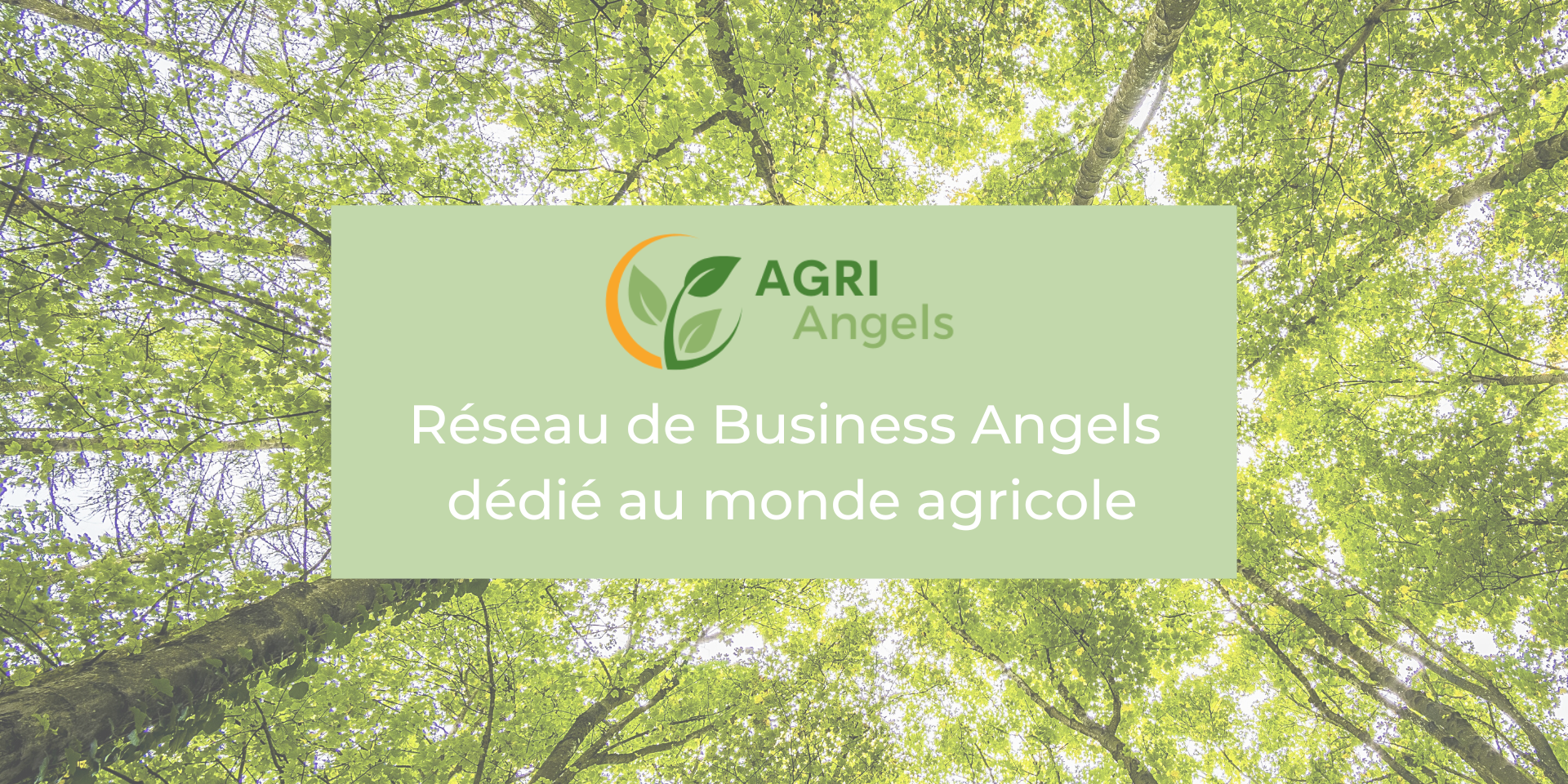 AgriAngels, lancement officiel