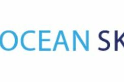 Des Business Angels investissent dans Ocean Skills