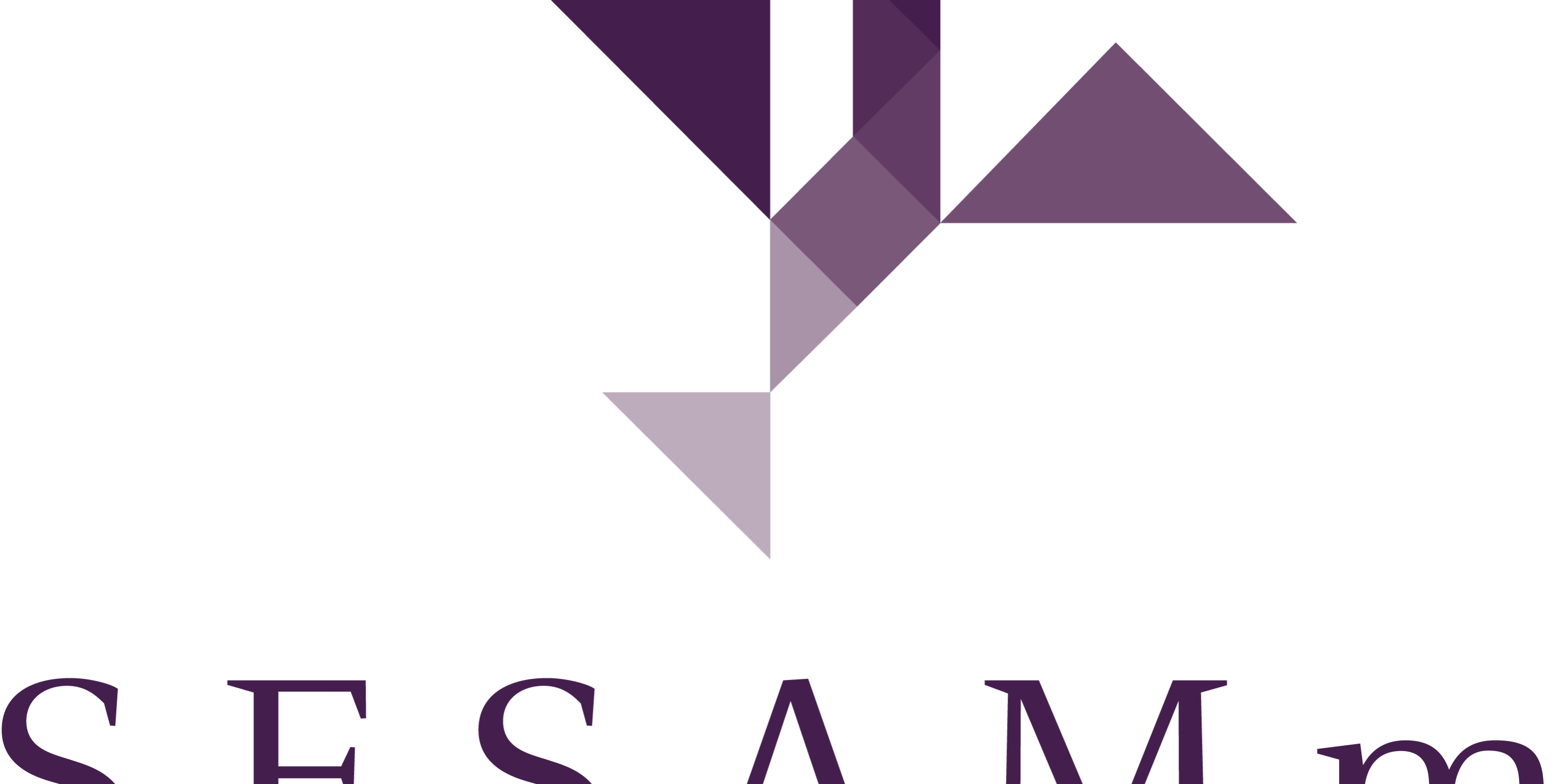 BFC Angels investit dans SESAMm