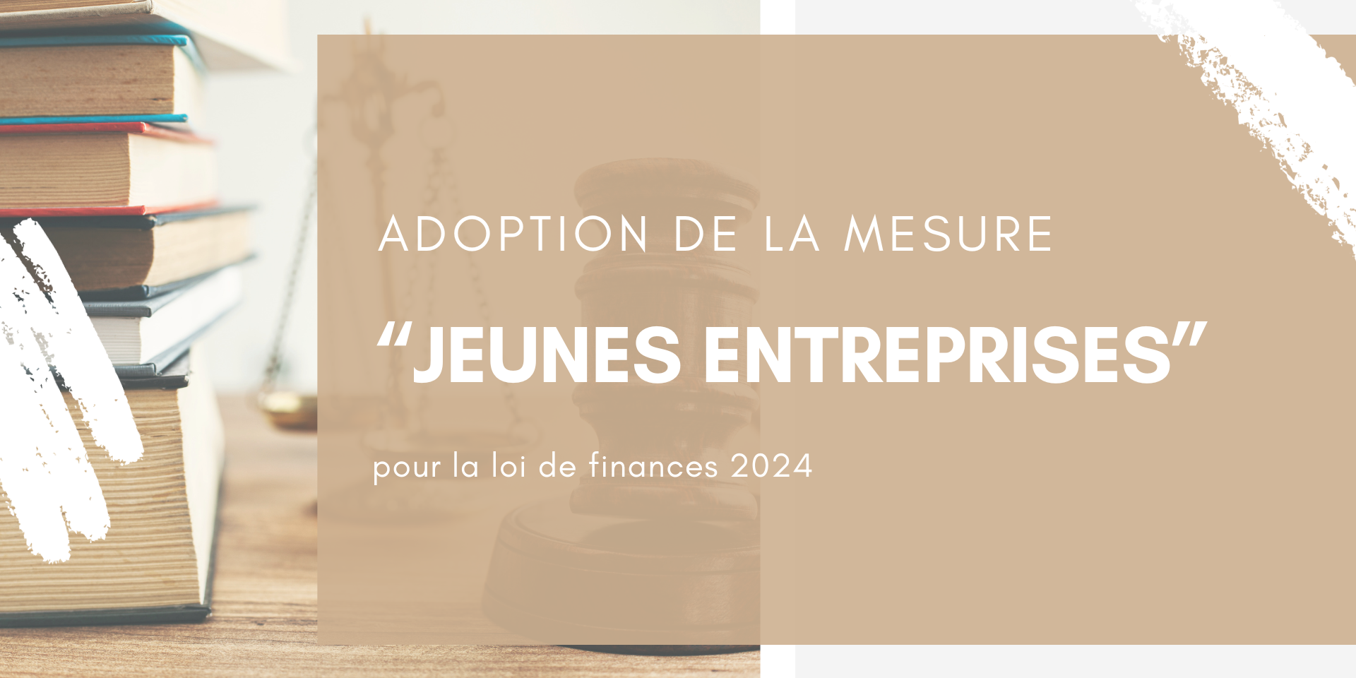 Adoption de la mesure Jeunes Entreprises dans le Budget 2024
