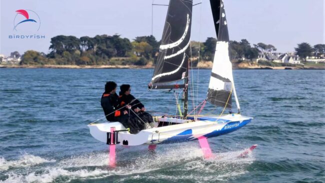 Ouest Angels et Mer Angels investissent dans BirdyFish Ouest Angels et Mer Angels investissent dans BirdyFish