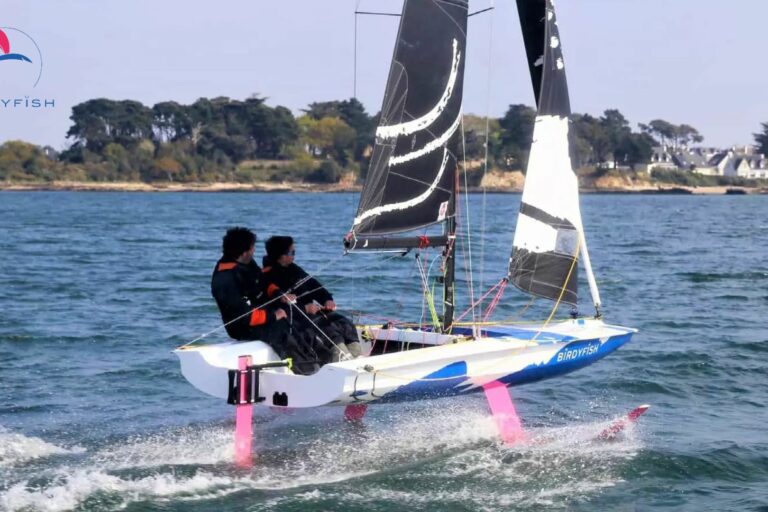 Ouest Angels et Mer Angels investissent dans BirdyFish Ouest Angels et Mer Angels investissent dans BirdyFish