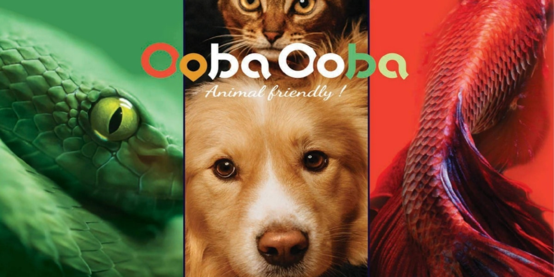 Provence Angels et Grand Delta Angels accompagnent OOBA OOBA Business Provence Angels et Grand Delta Angels accompagnent OOBA OOBA Business