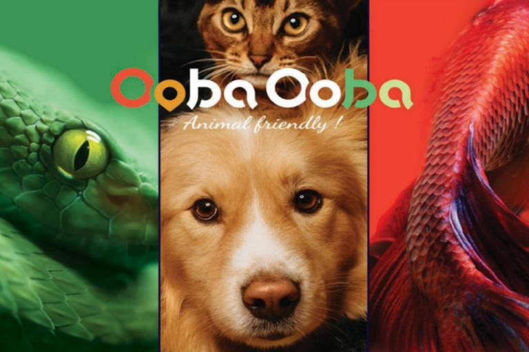 Provence Angels et Grand Delta Angels accompagnent OOBA OOBA Business Provence Angels et Grand Delta Angels accompagnent OOBA OOBA Business