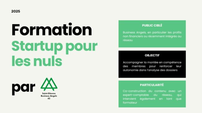 Formation “Startup pour les nuls” par Saint-Etienne Business Angels 42 Formation “Startup pour les nuls” par Saint-Etienne Business Angels 42