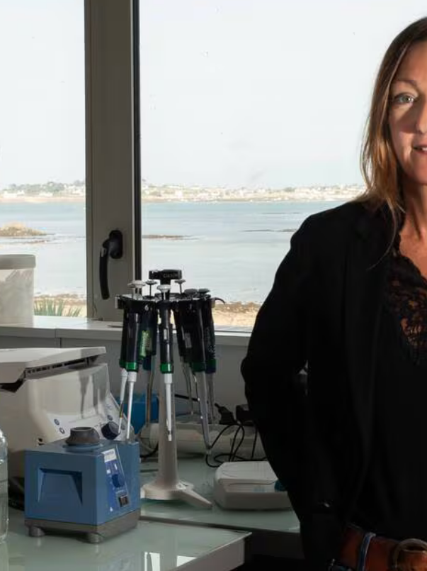 Breizh Angels, Angels Santé, Femmes Business Angels et Les Business Angels des Grandes Ecoles soutiennent SeaBeLife